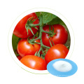 Dr. Aid Hot Sale 99,4% KNO3 Verschiedene Pflanzen Drache Frucht Tomatenpflanze Dünger Kaliumnitrat